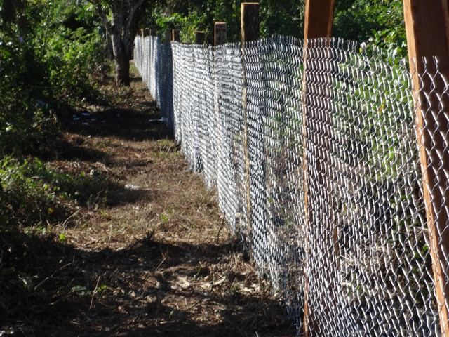 Construcción de la cerca agrícola - postes puestos.