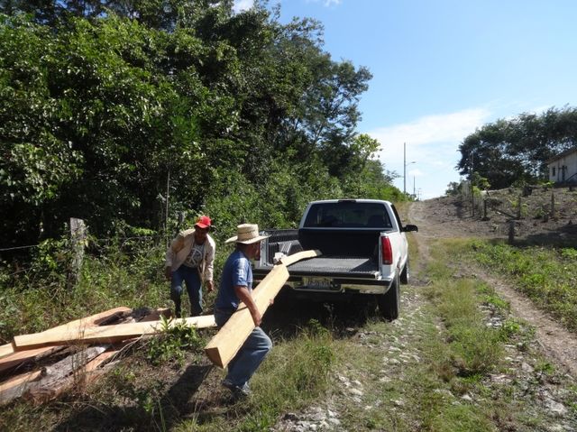 Construcción de la cerca agrícola - transporte de los postes.