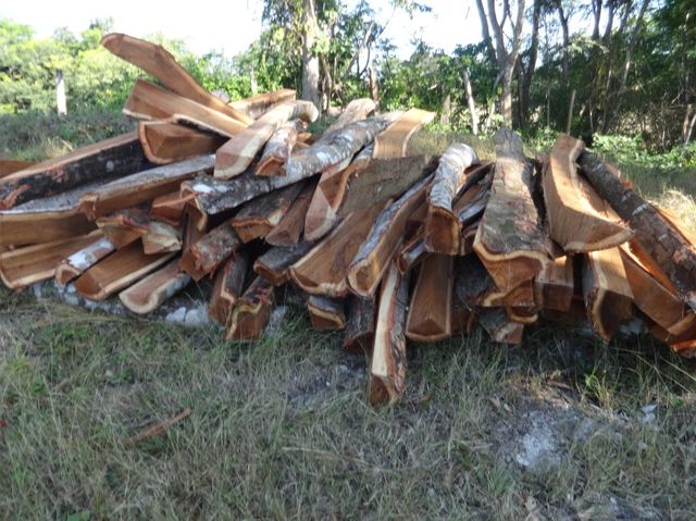 Construcción de la cerca agrícola - postes listos para parar.