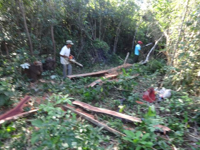 Construcción de la cerca agrícola - corte de los postes.